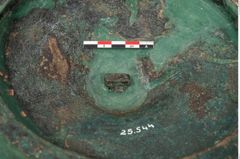 Foto von Bronzephalere (NHMW-PRAE-025544)